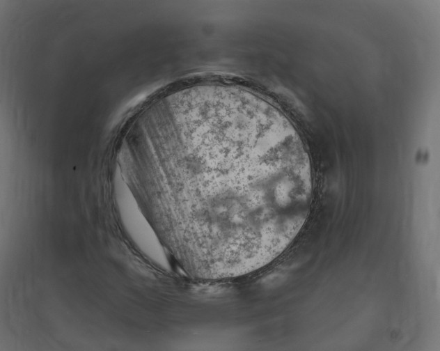 X0000094381159200711242015
