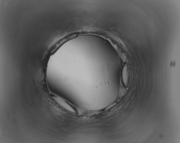 X0000094381160200711242015