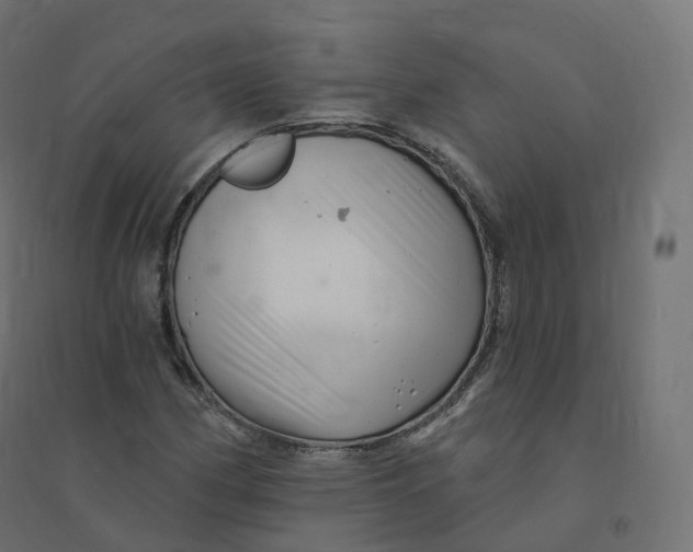X0000094381162200711242015