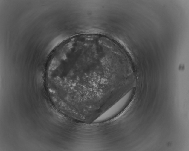 X0000094381163200711242015