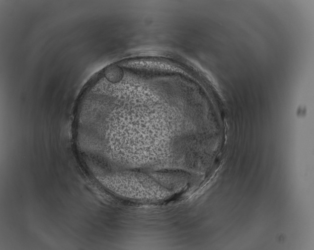 X0000094381166200711242015