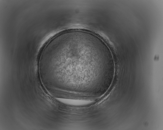 X0000094381167200711242015