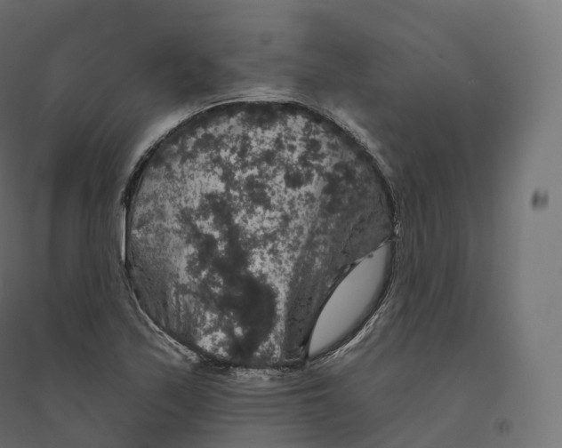 X0000094381171200711242015