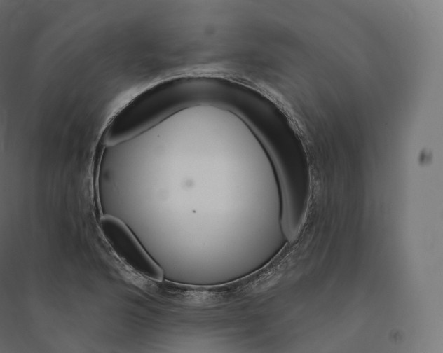 X0000094381176200711242015