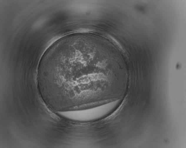 X0000094381178200711242015