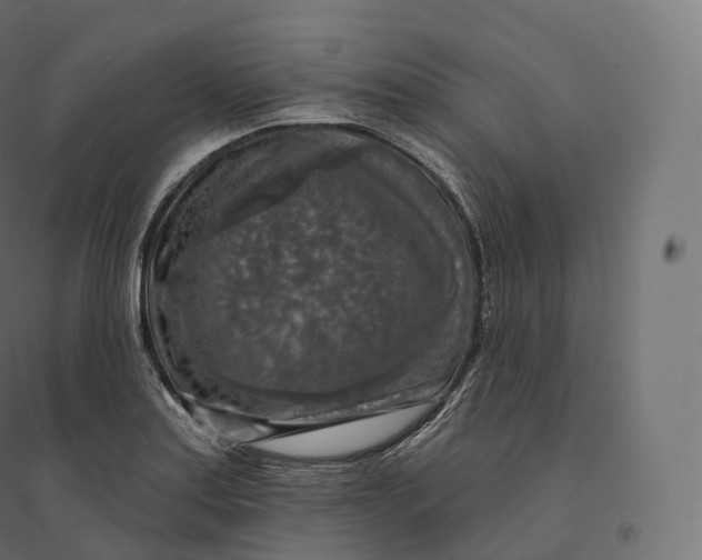 X0000094381179200711242015