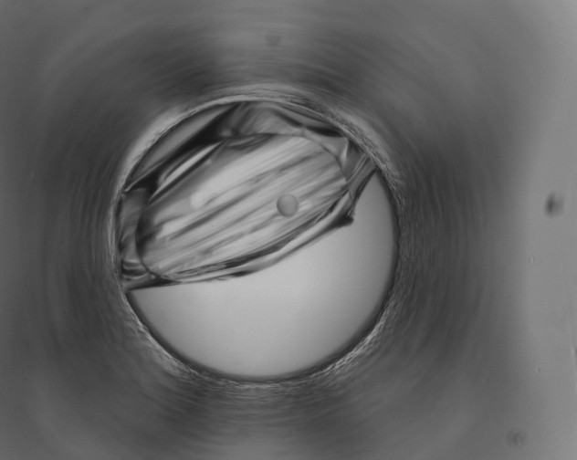 X0000094381180200711242015