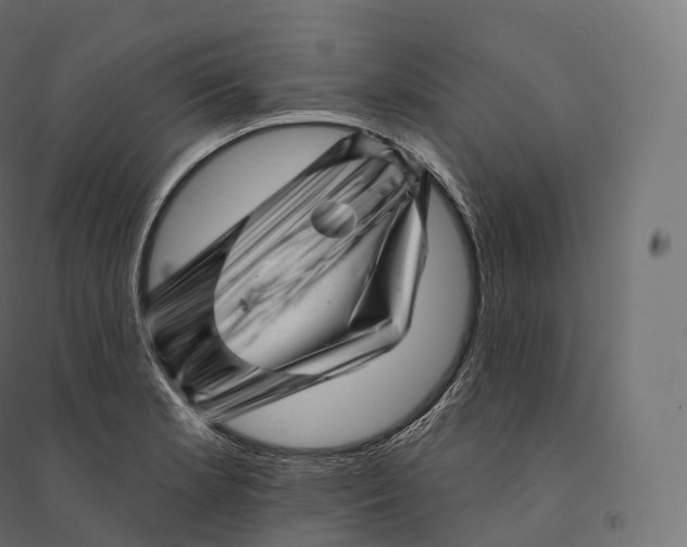 X0000094381181200711242015