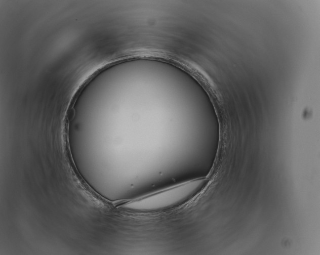 X0000094381182200711242015