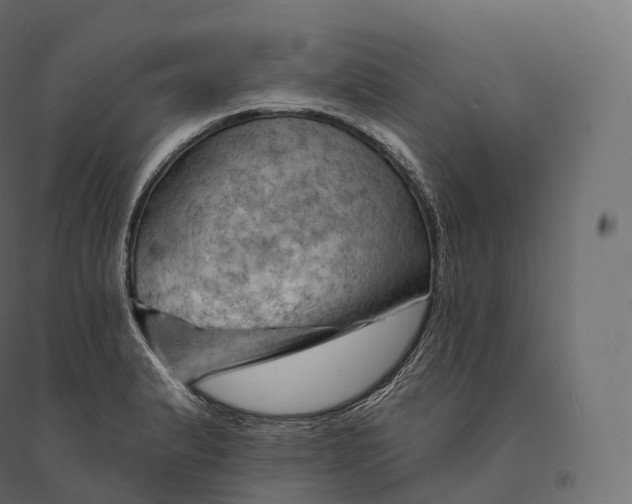 X0000094381183200711242015