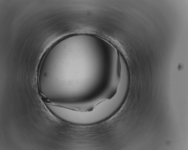 X0000094381184200711242015