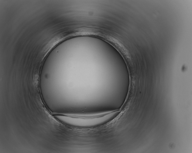 X0000094381185200711242015