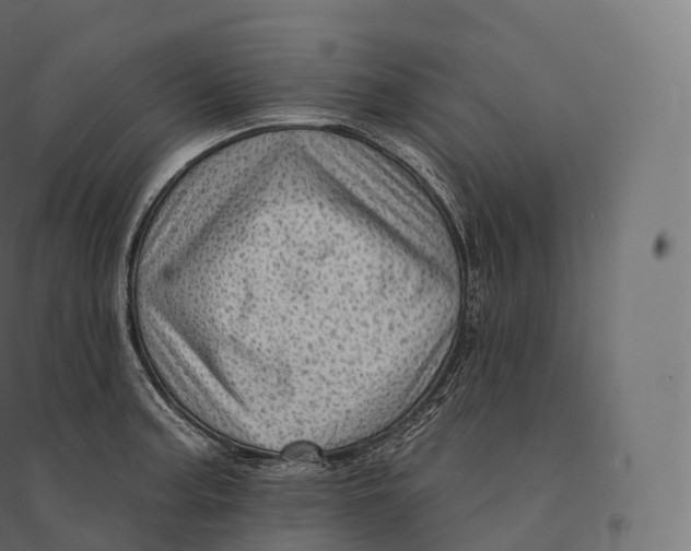 X0000094381187200711242015