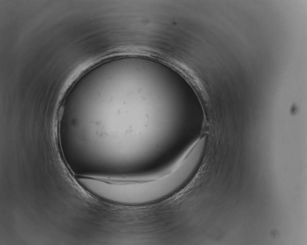 X0000094381188200711242015