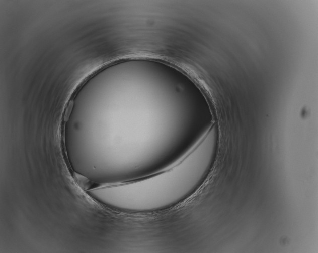 X0000094381189200711242015