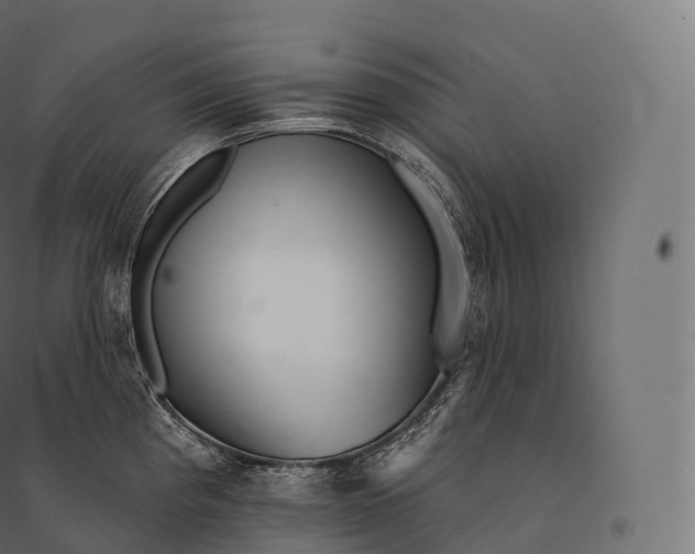 X0000094381193200711242015