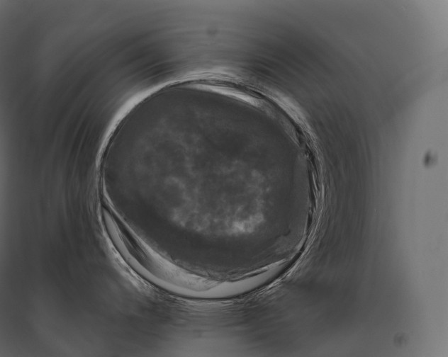 X0000094381200200711242015