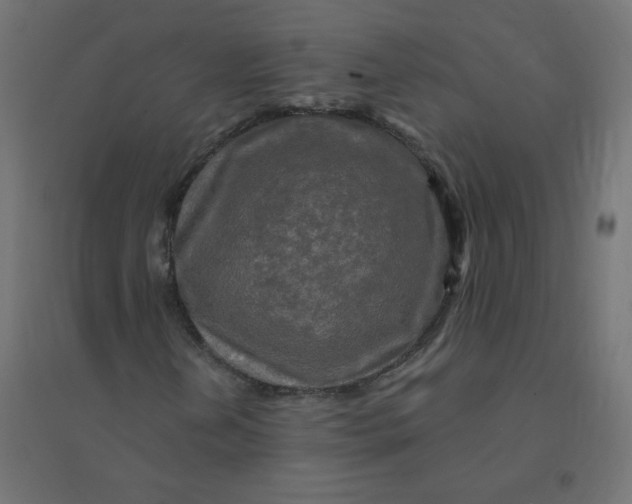 X0000094381202200711242014