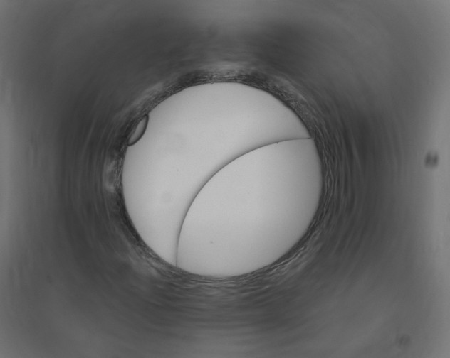 X0000094381204200711242014