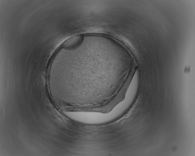 X0000094381212200711242014