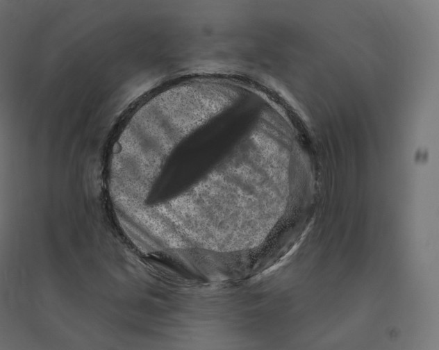 X0000094381213200711242014