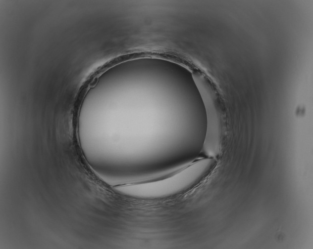 X0000094381214200711242014