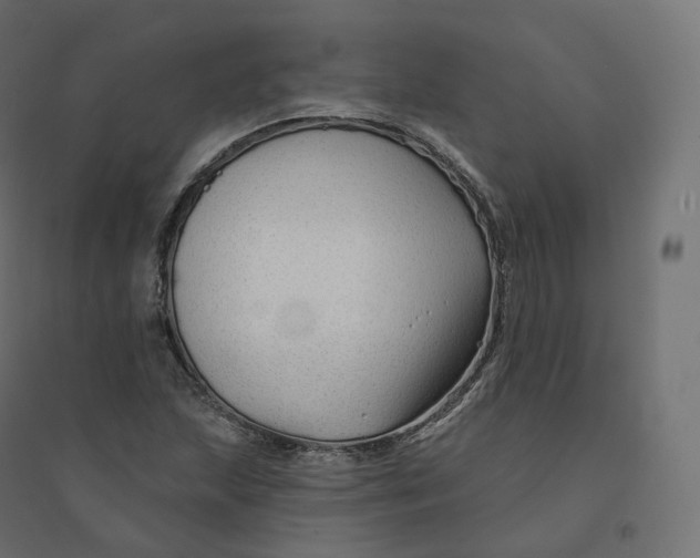 X0000094381215200711242014