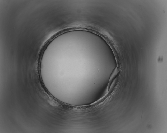 X0000094381216200711242014