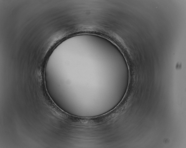 X0000094381218200711242014