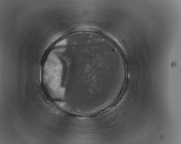 X0000094381219200711242014