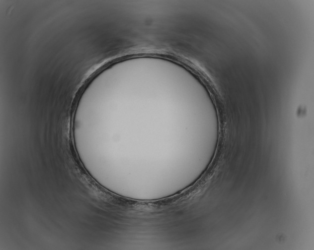 X0000094381220200711242015