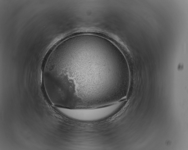 X0000094381221200711242015