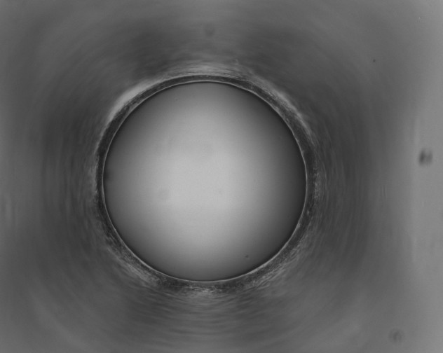 X0000094381222200711242015
