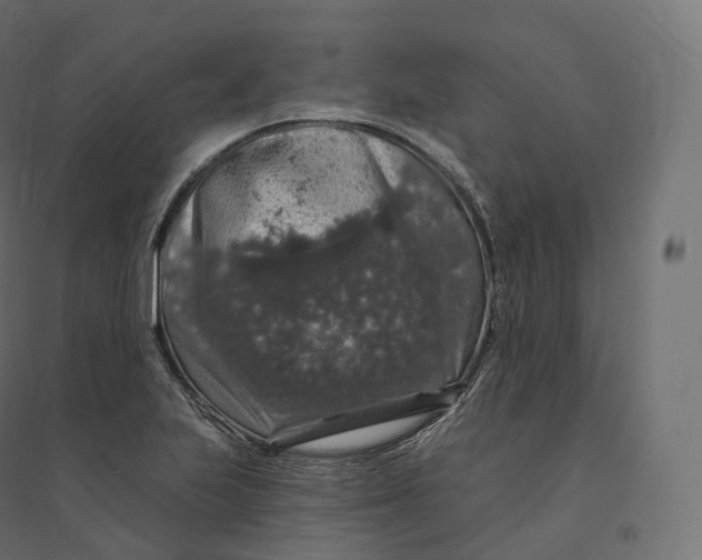 X0000094381223200711242015
