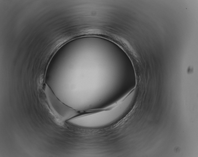 X0000094381225200711242015