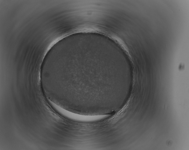 X0000094381226200711242015