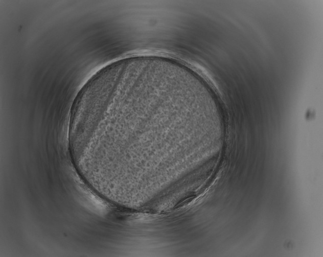 X0000094381228200711242015