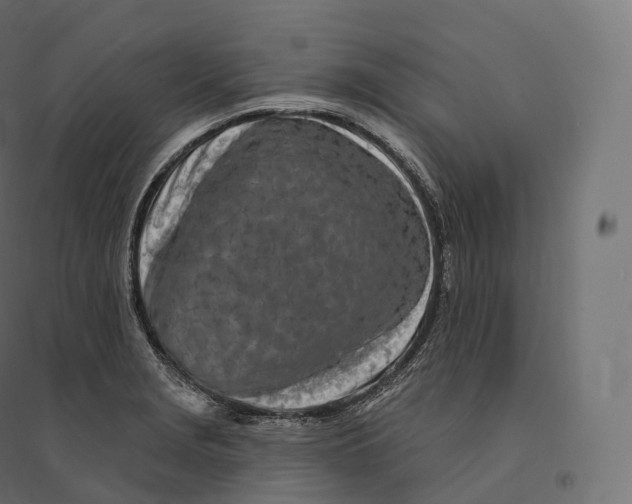 X0000094381229200711242015