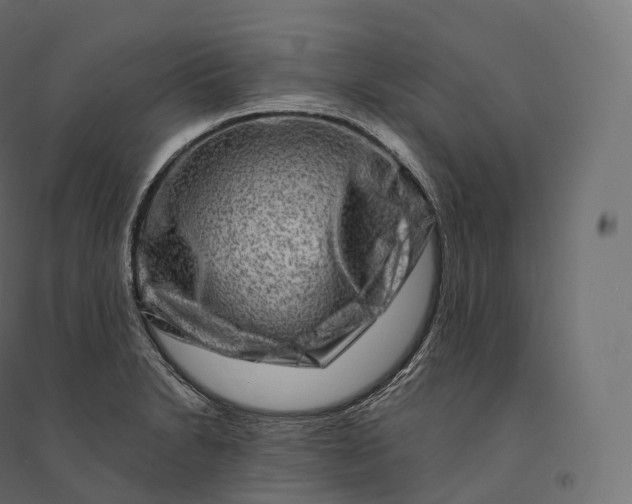 X0000094381230200711242015