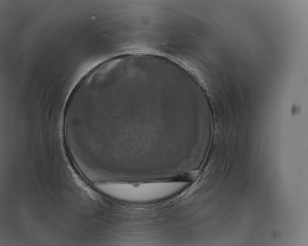 X0000094381231200711242015