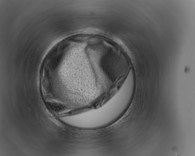X0000094381232200711242015