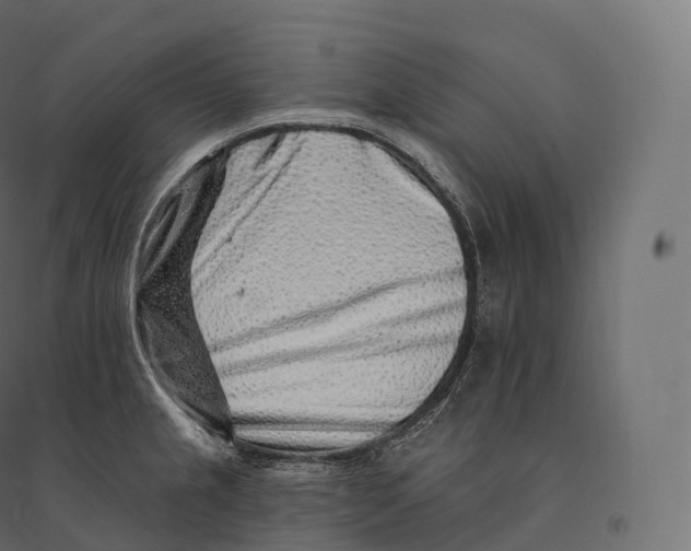 X0000094381237200711242015
