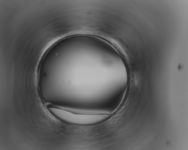 X0000094381238200711242015