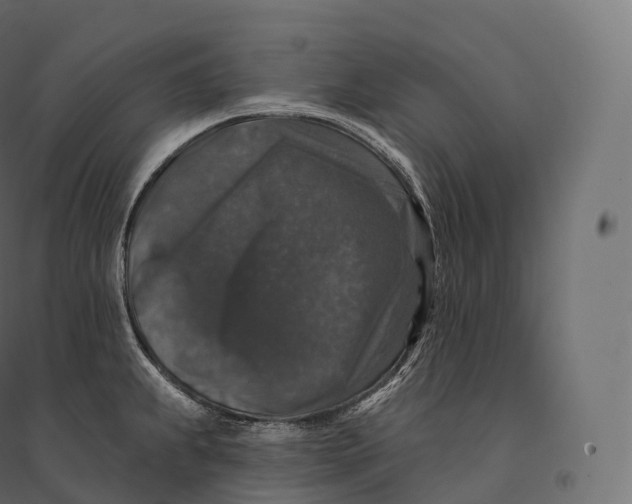 X0000094381239200711242015