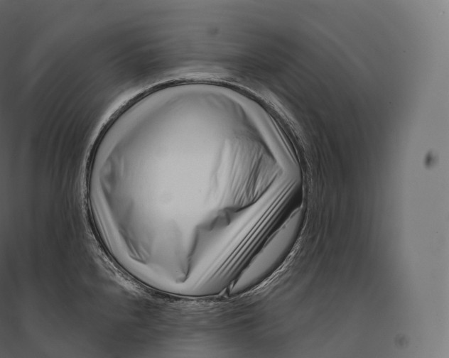 X0000094381240200711242015