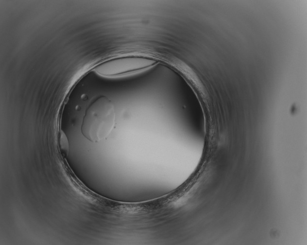 X0000094381242200711242015