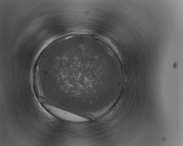 X0000094381243200711242015