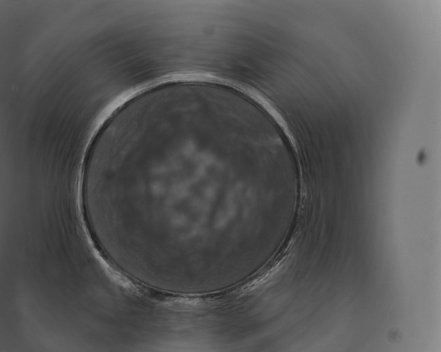 X0000094381245200711242015