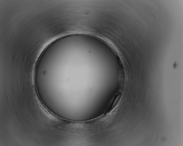 X0000094381246200711242015