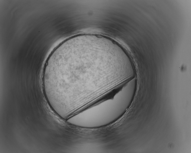 X0000094381248200711242015